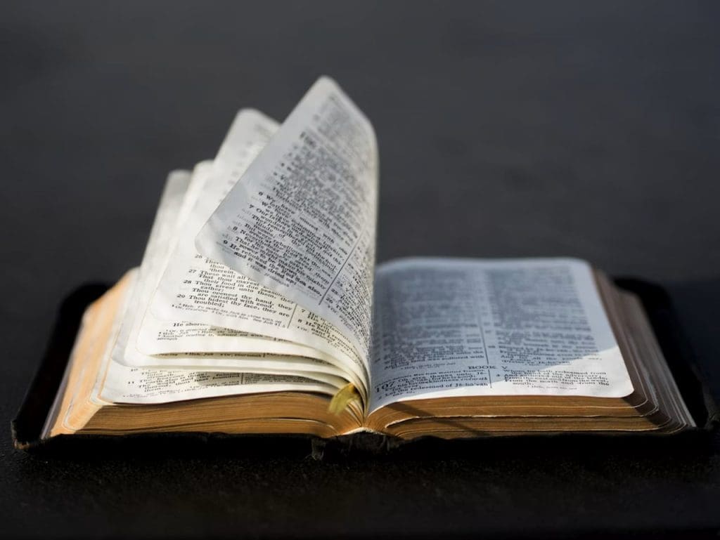 Texas Rules Bible Stories Mandatory For Public Schools